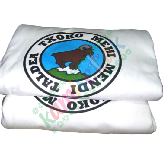 CUADRILLAS DE FIESTAS: EJEMPLOS  de camisetas personalizadas.