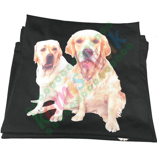 PARA VESTIR: EJEMPLOS de camisetas personalizadas. PARA VESTIR: EJEMPLOS de camisetas personalizadas.