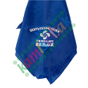 PAÑUELOS: EJEMPLOS de pañuelos de fiesta personalizados. PAÑUELOS: EJEMPLOS de pañuelos de fiesta personalizados.