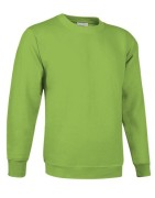 Sudaderas Básicas